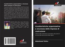 Bookcover of Caratteristiche organizzative e sicurezza delle imprese di costruzione
