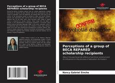 Capa do livro de Perceptions of a group of BECA REPARED scholarship recipients 