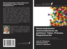 Обложка Nanocompuestos semiconductores de polímero: Tipos, Proceso, Magnetización