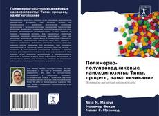 Capa do livro de Полимерно-полупроводниковые нанокомпозиты: Типы, процесс, намагничивание 