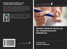 Buchcover von Estado mineral sérico en las complicaciones diabéticas