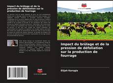 Couverture de Impact du brûlage et de la pression de défoliation sur la production de fourrage