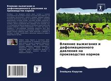 Capa do livro de Влияние выжигания и дефолиационного давления на производство кормов 