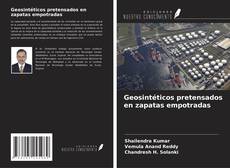 Обложка Geosintéticos pretensados en zapatas empotradas