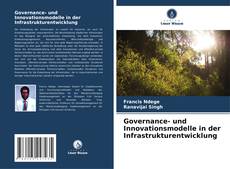 Governance- und Innovationsmodelle in der Infrastrukturentwicklung kitap kapağı
