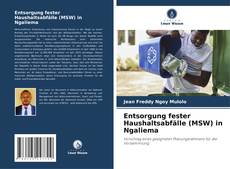 Entsorgung fester Haushaltsabfälle (MSW) in Ngaliema kitap kapağı