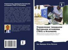 Buchcover von Управление твердыми бытовыми отходами (ТБО) в Нгалиеме