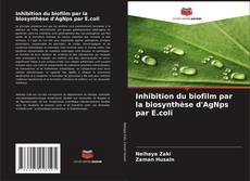 Couverture de Inhibition du biofilm par la biosynthèse d'AgNps par E.coli