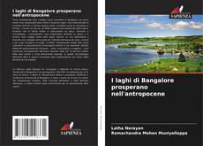 Buchcover von I laghi di Bangalore prosperano nell'antropocene