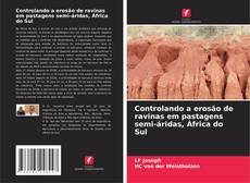 Capa do livro de Controlando a erosão de ravinas em pastagens semi-áridas, África do Sul 