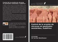 Bookcover of Control de la erosión de cárcavas en pastizales semiáridos, Sudáfrica