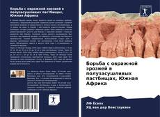 Bookcover of Борьба с овражной эрозией в полузасушливых пастбищах, Южная Африка