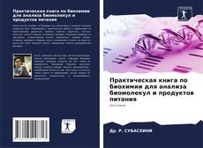 Capa do livro de Практическая книга по биохимии для анализа биомолекул и продуктов питания 