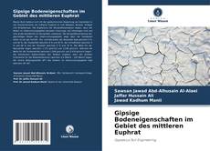 Buchcover von Gipsige Bodeneigenschaften im Gebiet des mittleren Euphrat