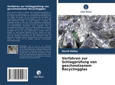 Capa do livro de Verfahren zur Schlagprüfung von geschmolzenem Recyclingglas 