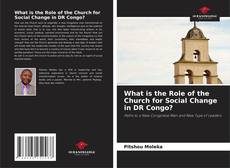 What is the Role of the Church for Social Change in DR Congo? kitap kapağı
