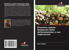 Buchcover von Dinamica spazio-temporale della deforestazione e sue implicazioni