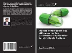Portada del libro de Plantas etnomedicinales utilizadas por los curanderos tradicionales del distrito de Buldana