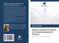 Hybride numerische Verfahren für 2D elektromagnetische Streuung kitap kapağı
