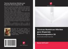 Bookcover of Técnicas Numéricas Híbridas para Dispersão Electromagnética 2D