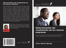 Capa do livro de Determinantes del rendimiento de las nuevas empresas 