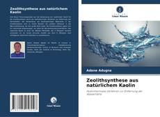 Zeolithsynthese aus natürlichem Kaolin kitap kapağı