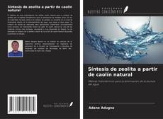 Bookcover of Síntesis de zeolita a partir de caolín natural