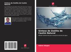 Síntese de Zeólito de Caulim Natural kitap kapağı