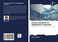 Capa do livro de Синтез цеолита из природного каолина 