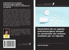 Suministro de un agente anticancerígeno basado en nanotubos de carbono mediado por un ligando的封面