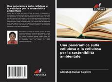 Buchcover von Una panoramica sulla cellulosa e la cellulosa per la sostenibilità ambientale