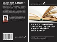 Una visión general de la celulosa y la celulosa para la sostenibilidad del medio ambiente的封面