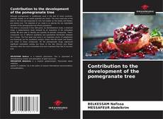 Couverture de Contribution to the development of the pomegranate tree