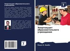 Copertina di Энергоаудит образовательного учреждения