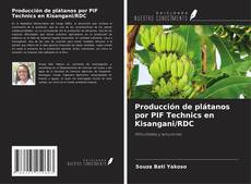 Couverture de Producción de plátanos por PIF Technics en Kisangani/RDC