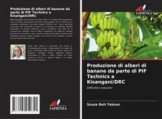 Produzione di alberi di banane da parte di PIF Technics a Kisangani/DRC kitap kapağı