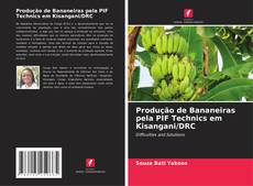 Produção de Bananeiras pela PIF Technics em Kisangani/DRC kitap kapağı