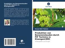 Bookcover of Produktion von Bananenstauden durch PIF Technics in Kisangani/DRC