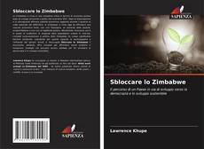 Copertina di Sbloccare lo Zimbabwe
