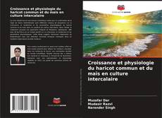 Copertina di Croissance et physiologie du haricot commun et du maïs en culture intercalaire