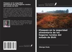 Copertina di Choques en la seguridad alimentaria de los hogares rurales del estado de Ekiti