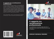 Il rapporto tra socializzazione professionale kitap kapağı