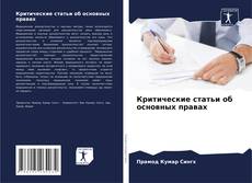 Bookcover of Критические статьи об основных правах
