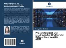 Bookcover of Phasenstabilität und elektronische Struktur der Halogenidperowskite ABX3