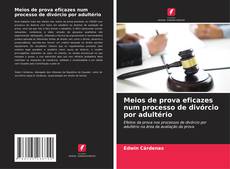 Bookcover of Meios de prova eficazes num processo de divórcio por adultério