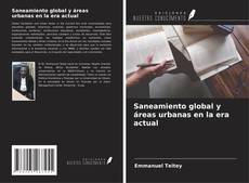 Saneamiento global y áreas urbanas en la era actual kitap kapağı