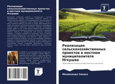 Buchcover von Реализация сельскохозяйственных проектов в местном муниципалитете Нгкушва