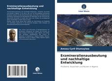 Erzmineralienausbeutung und nachhaltige Entwicklung kitap kapağı