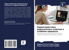 Capa do livro de Характеристика виртуальных классов в учебном процессе 