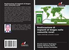 Bookcover of Realizzazione di impianti di biogas nelle comunità rurali